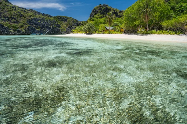 Tomt grunt stjärnbad på Tapiutan Island. El Nido, Palawan, Filippinerna — Stockfoto