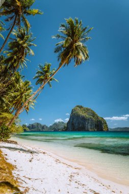Arka planda Pinagbuyutan adası olan kumlu sahilde palmiye ağaçları. El Nido, Palawan, Filipinler 'deki rüya gibi manzara