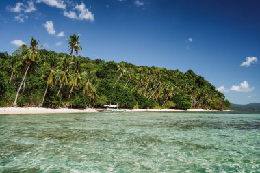 Filipinler, Palawan. El Nido konumu. Bir sürü palmiyesi olan güzel tropikal tatil plajı