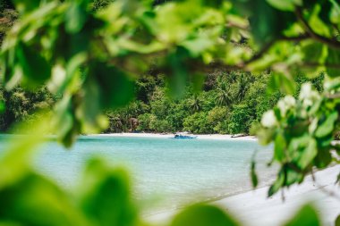 El Nido, Palawan, Filipinler. Mavi sığ göl manzaralı tropik sahil manzarası ve yemyeşil bitki yapraklarıyla çerçevelenmiş yalnız turist teknesi.