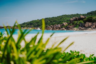 Seyşeller 'deki La Digue adasındaki Grand Anse plajı. Meşhur granit kaya oluşumları dağınık yapraklarla çerçevelenmiş.