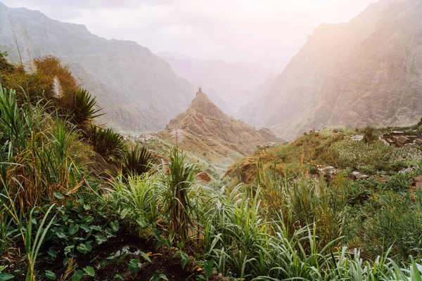 Active holiday at Santo Antao, Cape Verde. Xoxo in the Ribeira da Torre valley. Impressive landscape scenery in evening sun light — Stock Photo, Image