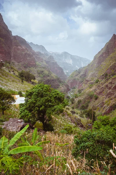 Santo Antao Cape Verde Cabo Verde. Canyon Ribeira da Torre covered with lush vegetation. Cultivation on steep terraced hills banana trees, sugarcane and coffee. Xo-Xo valley — Stock Photo, Image