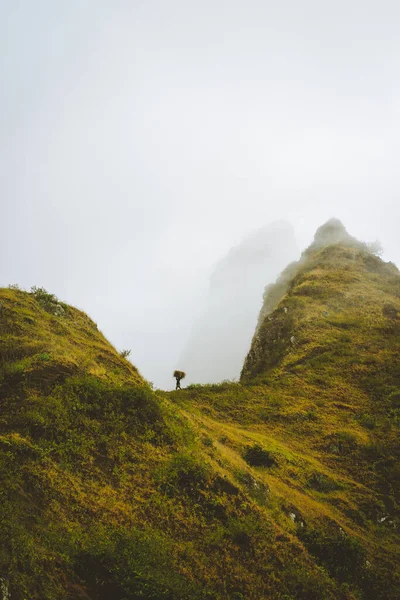 Остров Санто-Антао Кабо-Верде. Местный фермер несет тюк сена на голове вдоль острого туманного горного хребта — стоковое фото