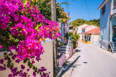 Küçük bir Akdeniz köyünde, yürüyüş yolunda Magenta çiçekleri. Sokakta büyük bir begonvil çiçekli geleneksel Yunan evi