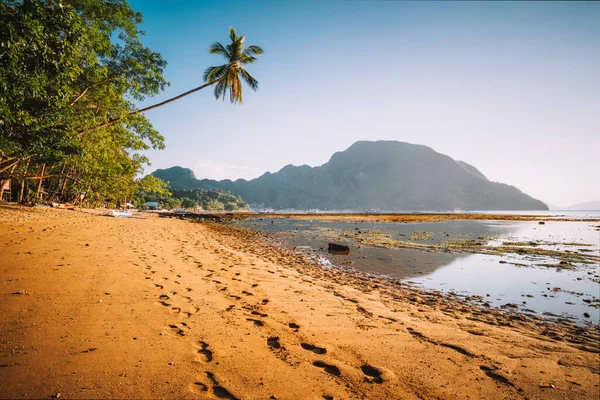 El Nido köyü kıyı şeridi, kumlu plajları, palmiye ağaçları ve altın gün batımında sığ gölde yerel tekneleri var. Palawan 'da. Filipinler