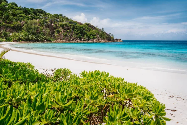 Gyönyörű Petite Anse strand Mahe Island, Seychelles. Kék óceán lagúna és fehér homok trópusi strand nyaralás — Stock Fotó