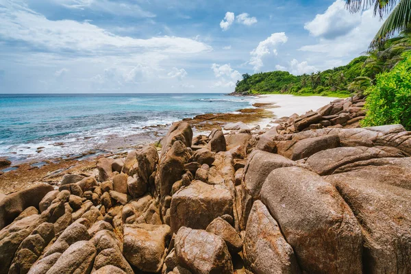 Rotsen en palmbomen op tropisch strand genaamd Police Bay op Mahe Island, Seychellen — Stockfoto