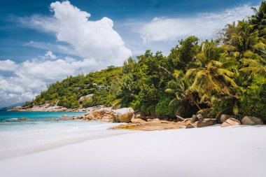 Seyşeller 'deki Mahe Adası' ndaki güzel Petite Anse plajı. Palmiye ağaçları ve mavi gökyüzü. Tatil yeri