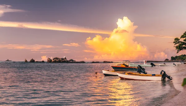 Plage tropicale au coucher du soleil sur La Digue, Seychelles — Photo