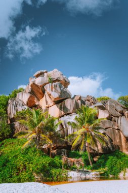 Seyşeller 'deki La Digue Adası. Grand Anse tuhaf şekilli granit kayalar ve kumsalda palmiye ağaçları.