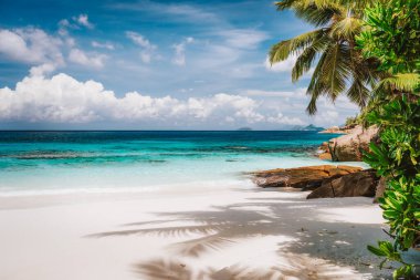 Tatil tatili Mahe Adası, Seyşeller 'deki egzotik tropikal kumlu plajı ziyaret ediyor. Mevsimlik egzotik seyahat