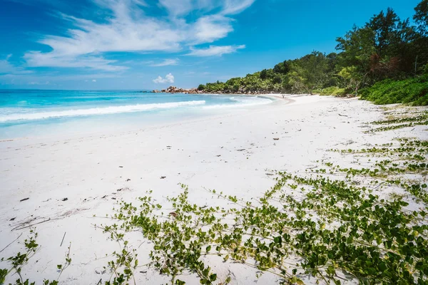 Biała piaszczysta plaża i turkusowy ocean na Anse Cocos Spokojna tapeta tropikalnej plaży Seszeli, La Digue — Zdjęcie stockowe