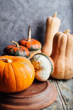 Sonbahar balkabağı Şükran Günü arka planı