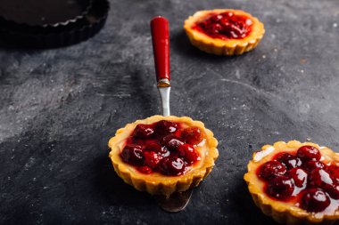 Tart, pasta, kek ezilmiş taze kızılcık, bilberries ve kış baharat 