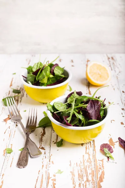 Salada verde fresca com ervas — Fotografia de Stock