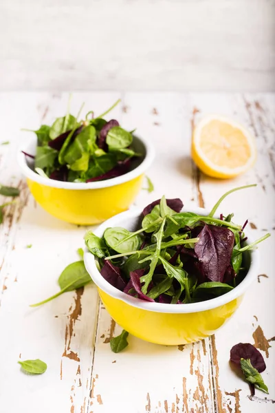 Salada verde fresca com ervas — Fotografia de Stock