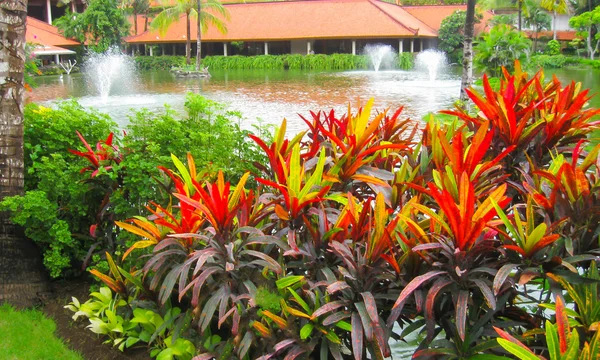 Bali, Indonesien - 29 December, 2008: The Lagoon och park i Ayodya Resort — Stockfoto