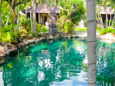 Bali, Endonezya - 13 Nisan 2014: Yüzme Havuzu mercan görünümü Villas görünümünü
