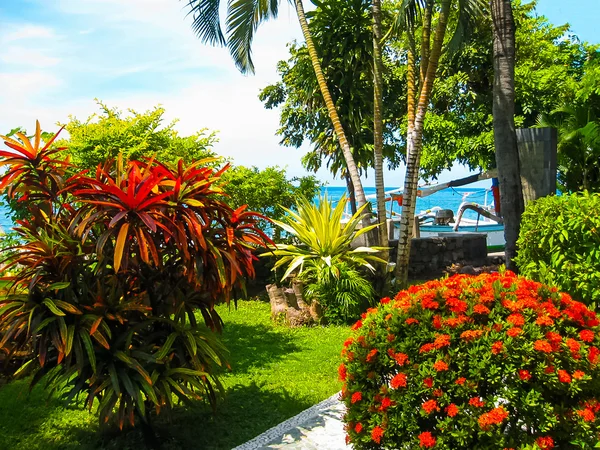 Bali, Indonesien - April 13, 2014: Utsikt över parken på Coral Villas — Stockfoto