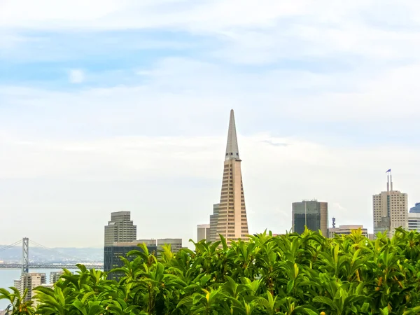 Paisaje urbano de San Francisco con rascacielos en el centro a distancia, California, Estados Unidos —  Fotos de Stock