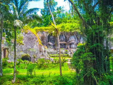 Gunung Kawi Tapınağı ve Candi Bali ormanda