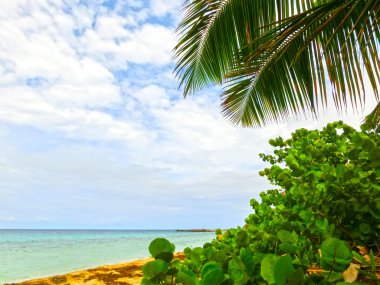 Caribbean tropikal plaj
