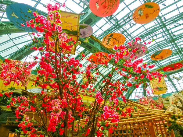 Las Vegas Estados Unidos América Mayo 2016 Jardín Flores Japonés — Foto de Stock