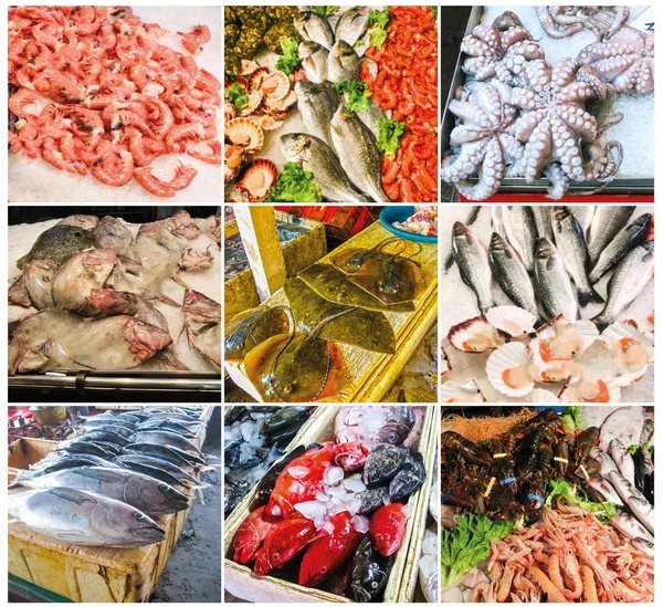 Fisk Och Skaldjur Collage Färsk Fiskmarknad — Stockfoto