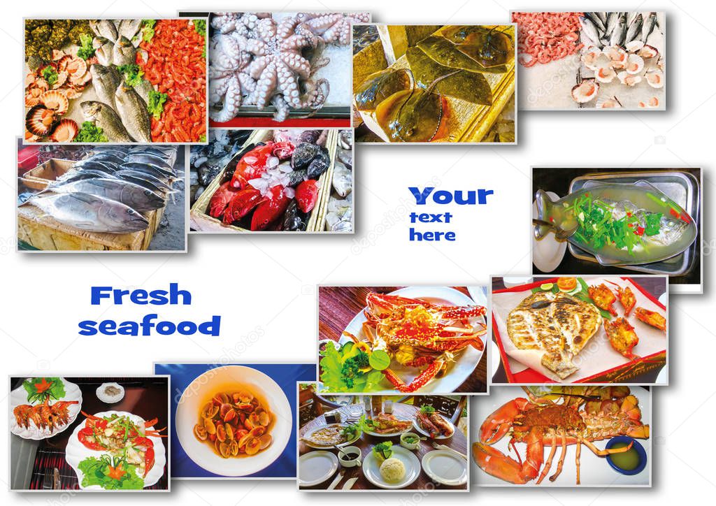 Sea food collage with raw fish and restaurant fish dishes on white background