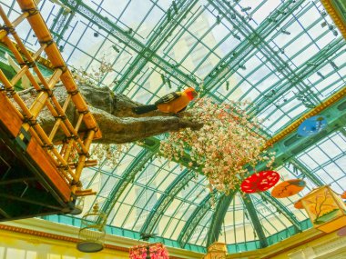 Las Vegas, Amerika Birleşik Devletleri - 05 Mayıs 2016: Japon çiçekli Bahçe, lüks hotel Bellagio, Las Vegas, Amerika Birleşik Devletleri