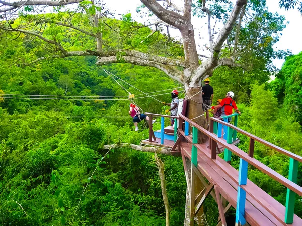 Γυναίκα Πηγαίνει Μια Ζούγκλα Zipline Περιπέτεια Στο Τροπικό Δάσος Αντίγκουα — Φωτογραφία Αρχείου