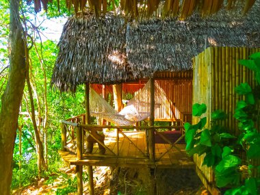 Tayland 'da tropik sahil evleri