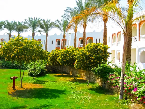 Sharm Sheikh Egyiptom November 2012 Szépség Fehér Épület Hotel Sunrice — Stock Fotó