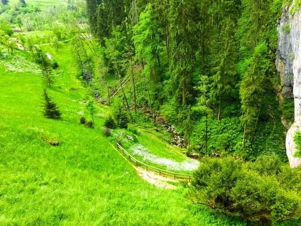 A floresta na área de montanha perto de Postojna, Eslovénia — Fotografia de Stock