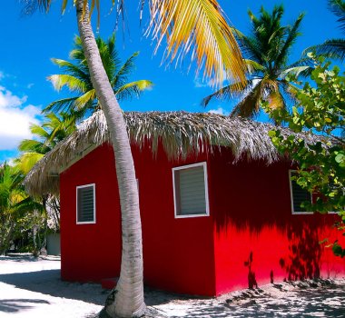 Renkli evler, hindistan cevizi palmiyeleri ve Catalina adasının beyaz kumları.