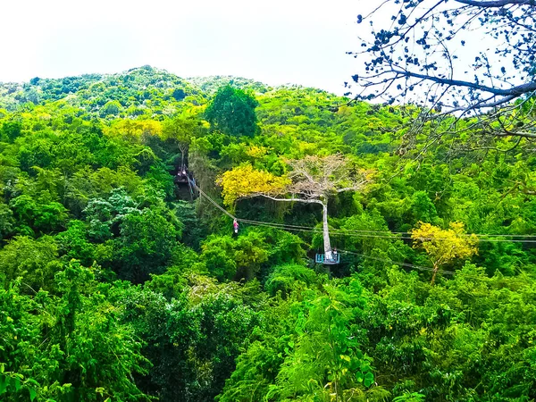 Femme Route Pour Une Aventure Tyrolienne Dans Jungle Antigua Rainforest — Photo
