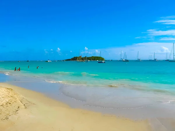 Guadeloupe Karayipler Deki Saint Francois Anse Champagne Plajı — Stok fotoğraf