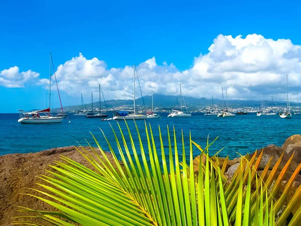 Kleine boten en vele kleurrijke gebouwen op de kust van Martinique — Stockfoto