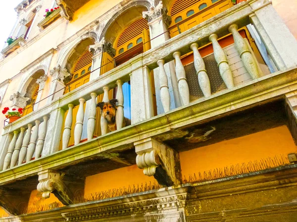 Venice, Italy - The old house — Stock Photo, Image