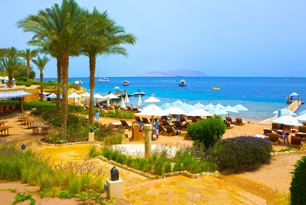 туристы в египте. альбатрос пелас пещорт. экспедиция в египетских пирамидах. египет отдых. монтазах 4 шарм-эль-шейх.