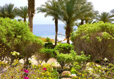Sharm El Sheikh, Mısır - 11 Nisan 2017: plaj ve alan otel dört mevsim Resort Sharm El Sheikh