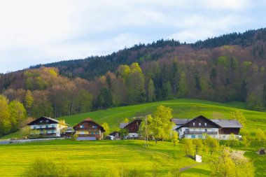 Pastoral Avusturyalı alpine yazlık, Salzburger arazi, Avusturya