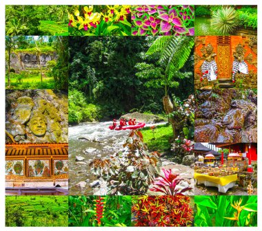 Kanyonda rafting Balis dağ Nehri üzerinde Endonezya