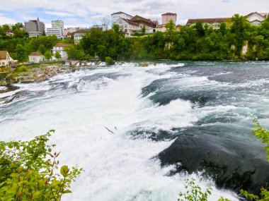 River Rhein İsviçre tarafından Avrupa'nın en büyük şelale