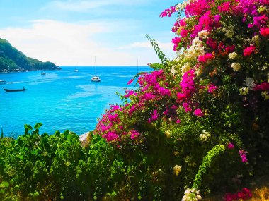 Güzel plaj tropikal bir ada Koh Racha Yai
