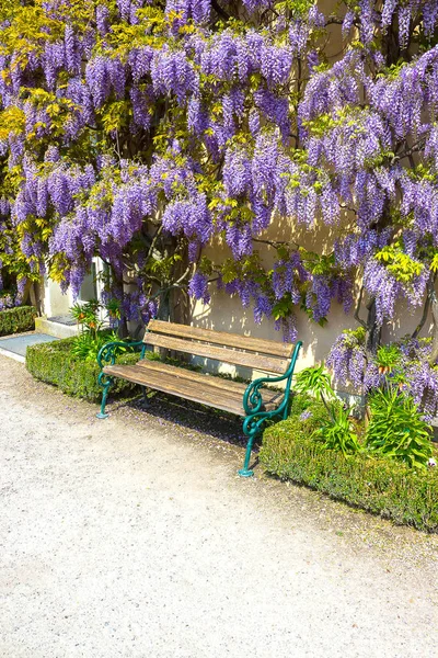 Lavice, obklopen jarní květiny — Stock fotografie