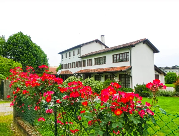 Nyklippt gräsmatta i trädgården framför en vacker gammal villa, Italien — Stockfoto