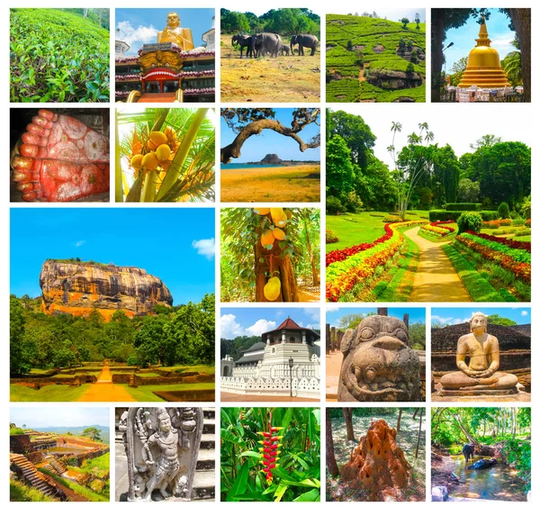 Sri Lanka görüntülerden kolaj