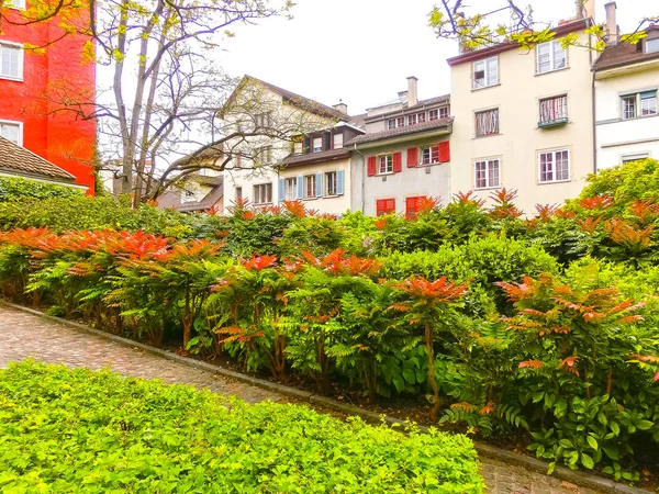 Zürcher Stadtbild Mit Blumen Vordergrund Der Schweiz — Stockfoto